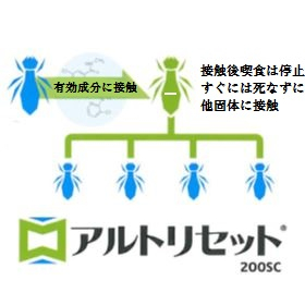 High safety and efficacy - Termite control agent "Altoriset 200SC"
