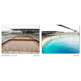 Support for the introduction of environmental purification technology