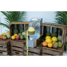 Fruit peeling machine KA-750PM for Pineapple / Mango / Melon