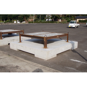 Shell Nurse Plus 1.0 Type