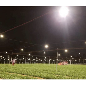 LED照明『EH26-12WRB』