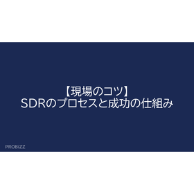 Tips from the Field: The SDR Process and Mechanisms for Success
