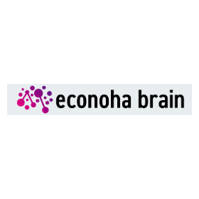 System development services