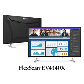 EIZO LCD Monitor 'FlexScan EV4340X'