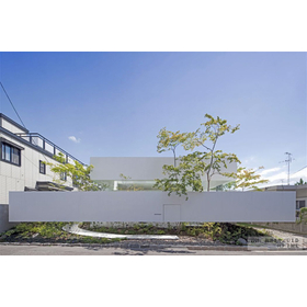 Interior and exterior cement-based thin coating material "Joint V"