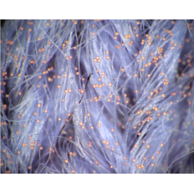 High-precision inspection of tiny objects: Pollen adhesion inspection AI