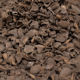 Blue Capital's biomass power generation business