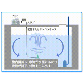 キャビテーダーの本体構造概略図/槽内断面図