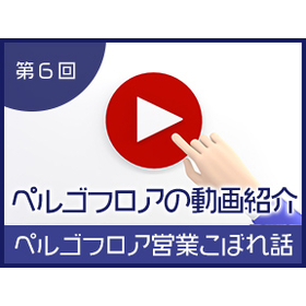 ペルゴフロアの動画紹介