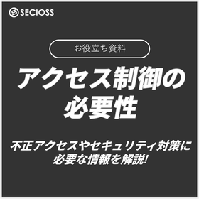 The Necessity of Access Control: Measures Against Shadow IT and Unauthorized Access