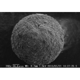 Characteristics of Cerabeads in the Living Type Process Application