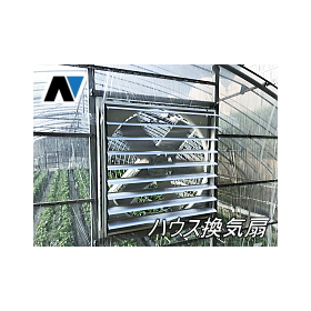 Greenhouse ventilation fan "Daikanbo" + automatic shutter