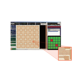 Pattern Appearance Inspection System