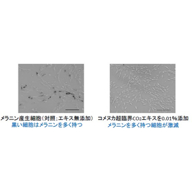 オリジナル原料『コメヌカ超臨界CO2エキス』