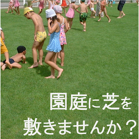 Evergreen and durable! A proposal for natural grass suitable for playgrounds. *Case study collection available.