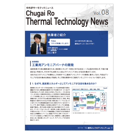 Ammonia combustion technology