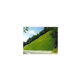 Mortar Spraying Surface Greening - Wing Rock Vegetation Method