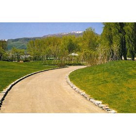 Are you experiencing any of these issues while using soil paving materials? *Samples available.