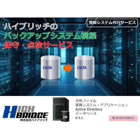 Backup system construction maintenance and inspection service _ Hybrid Rich