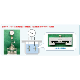 Support services for promoting carbon neutrality through analytical technology.