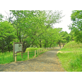 Asphalt paving using "wood"! 【*Case study collection available】