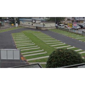 Benefits of Greening: Subsidies for Rooftop Greening/Parking Lot Greening (National Version)