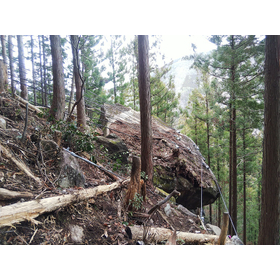 Preventing rockfalls and rock collapses in advance: "Large Rock Stabilization Method"