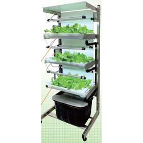 Plant cultivation and hydroponic cultivation system 'HAS-007'