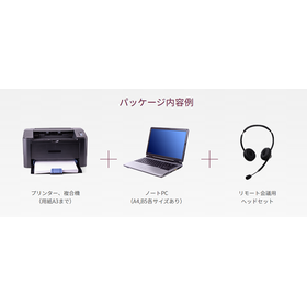An inexpensive remote telework package that can be operational immediately.