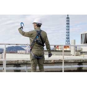 3M Fall Protection Products (Full Harness Safety Belt) Comprehensive Catalog