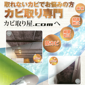 136通りのカビ取り技術『現場専用調合処理MAD工法』の事例進呈