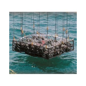 【水産資源回復】多目的藻場礁・増殖礁『鋳兵衛』