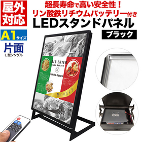 Outdoor LED stand panel with single-sided lithium iron phosphate battery: A1