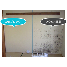 微生物災害予防『SANOかびブロック工法』のご提案