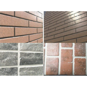 Finishing Material "Premium Inorganic Clear Series"
