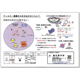 【技術資料】ウィルス・細菌の大きさ