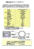 Fiber optic probe