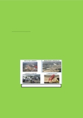 現場施工事例「河川堤防　危機管理型ハード対策　法尻補強工法」_ソルコマット（ブロックマット）法尻補強工法事例