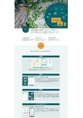 Tree Flow Overview Document