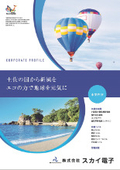 Sky Electronics Co., Ltd. Business Introduction
