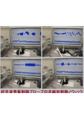 Nanolevel Ultrasonic Experiments - Development of Technology to Control Nonlinear Phenomena of Ultrasound