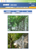 Rockfall protection fence reinforcement - Stronger method - Construction achievement photo collection