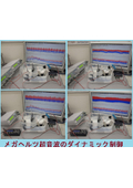 Utilization Technology of Megahertz Ultrasonic Waves - Oscillation Control Using Original Ultrasonic Probes -