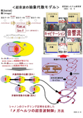 Original ultrasonic control model utilizing abstract algebra (control model for nonlinear phenomena)