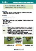Active Bacteria for Pond Algae and Odor Control - Case Studies Included