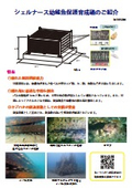 シェルナース幼稚魚保護育成礁のご紹介