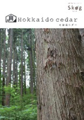 北海道シダー
