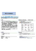 東北大学技術：てんかん原性領域の推定プログラム：T21-359