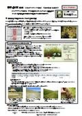 Dr. Peha Liquid Agent Catalog