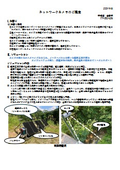 配線工事不要のネットワークカメラ